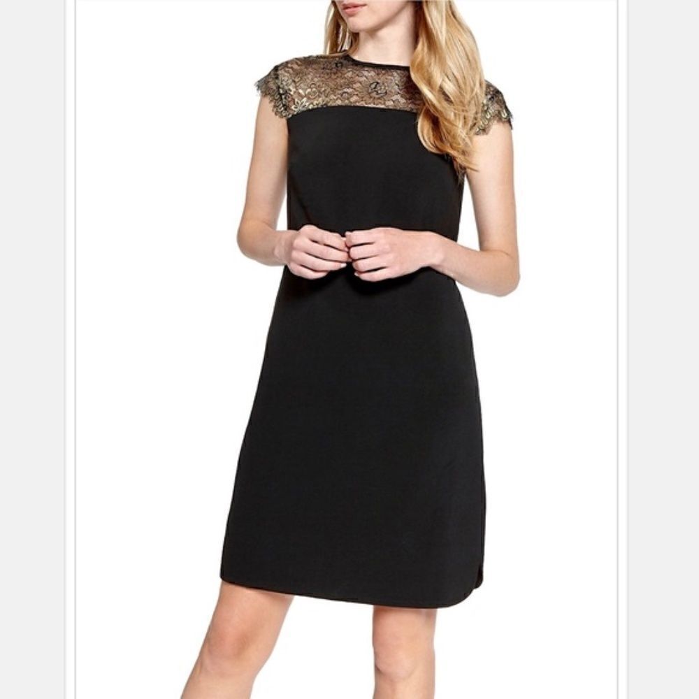 ✨NWT! Ted Baker LORENNE Lace Tunic Black Lace Dress